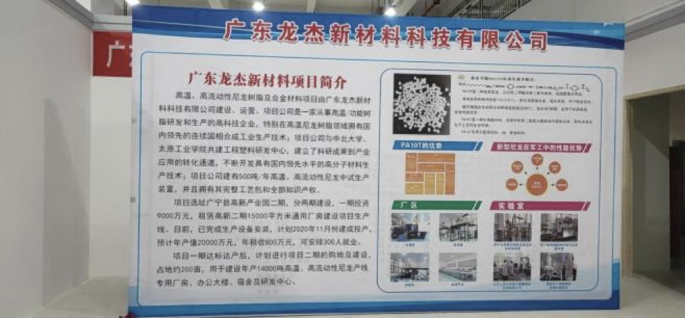 广东龙杰年产3000吨高温尼龙（PA10T）项目