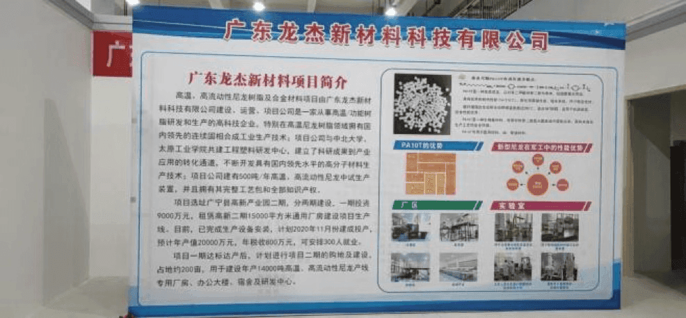广东龙杰年产3000吨高温尼龙（PA10T）项目